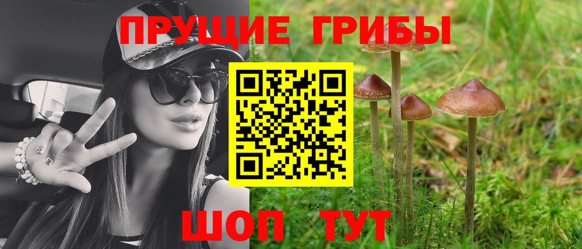Псилоцибиновые грибы мухоморы Югорск
